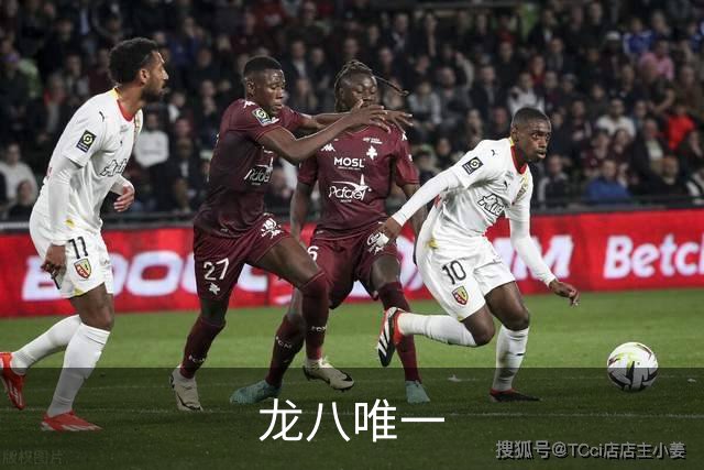 龙八唯一公司简介展示图